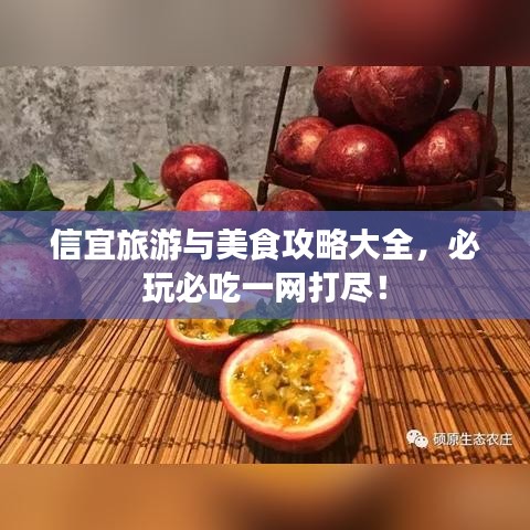 信宜旅游與美食攻略大全，必玩必吃一網(wǎng)打盡！