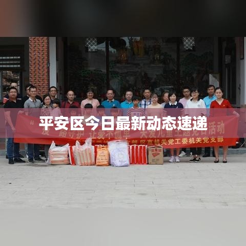 平安區(qū)今日最新動(dòng)態(tài)速遞