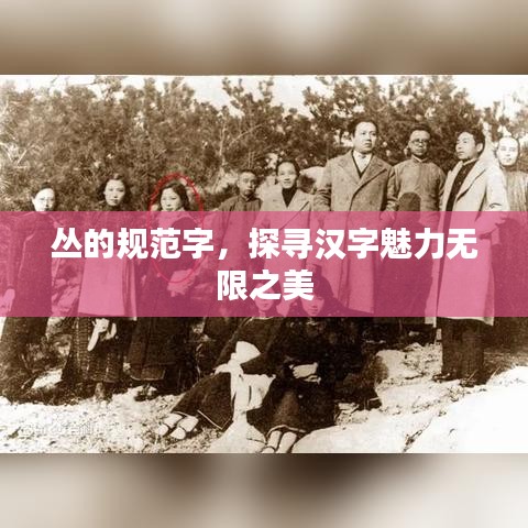 叢的規(guī)范字，探尋漢字魅力無限之美