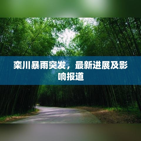 欒川暴雨突發(fā)，最新進(jìn)展及影響報(bào)道