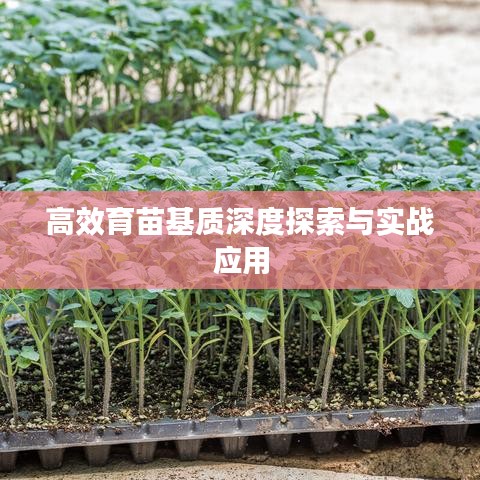 高效育苗基質(zhì)深度探索與實戰(zhàn)應用