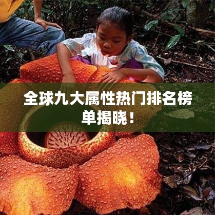 全球九大屬性熱門排名榜單揭曉！