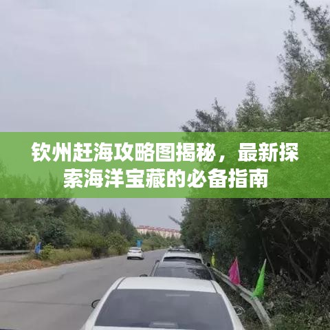 欽州趕海攻略圖揭秘，最新探索海洋寶藏的必備指南