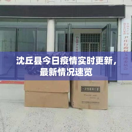 沈丘縣今日疫情實時更新，最新情況速覽