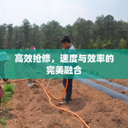 高效搶修，速度與效率的完美融合