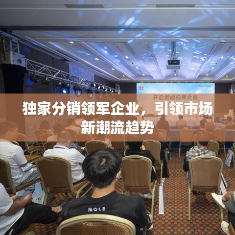 獨(dú)家分銷(xiāo)領(lǐng)軍企業(yè)，引領(lǐng)市場(chǎng)新潮流趨勢(shì)