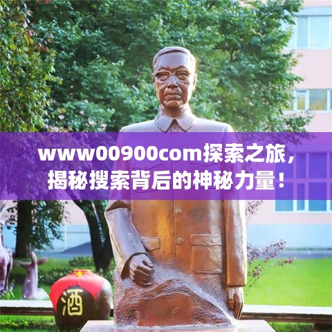 www00900com探索之旅，揭秘搜索背后的神秘力量！