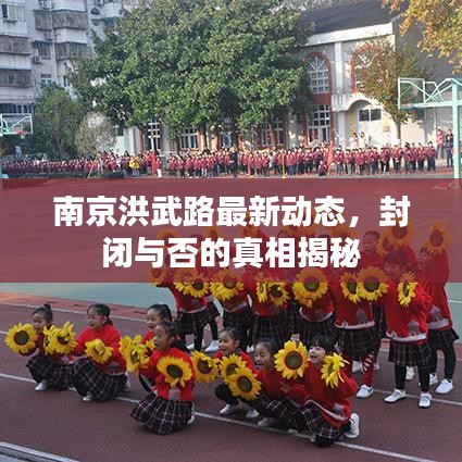 南京洪武路最新動態(tài)，封閉與否的真相揭秘