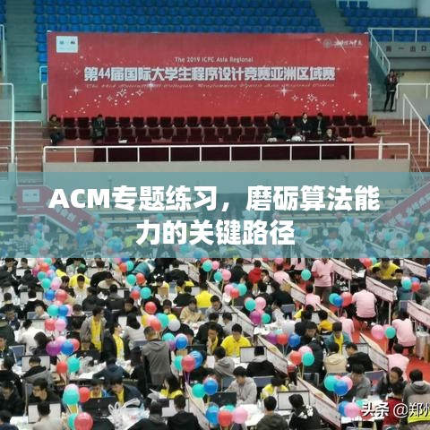 ACM專題練習(xí)，磨礪算法能力的關(guān)鍵路徑