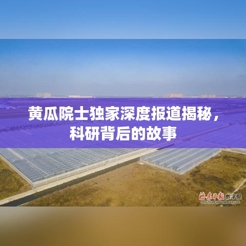 望其項背 第2頁