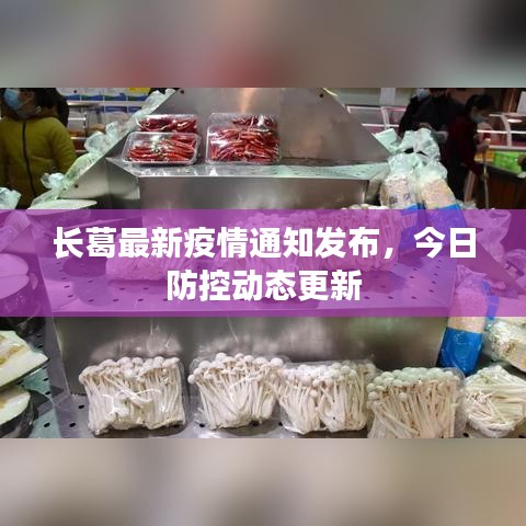 長葛最新疫情通知發(fā)布，今日防控動(dòng)態(tài)更新