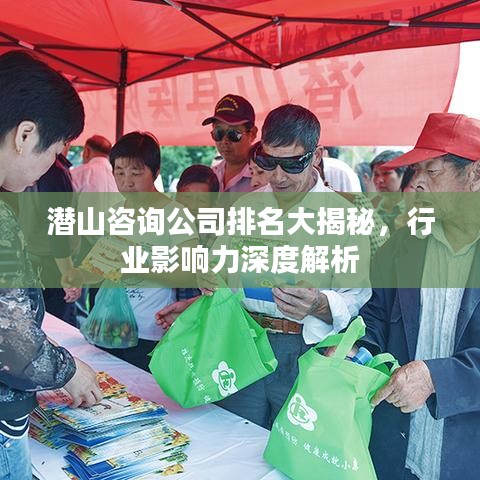 潛山咨詢公司排名大揭秘，行業(yè)影響力深度解析