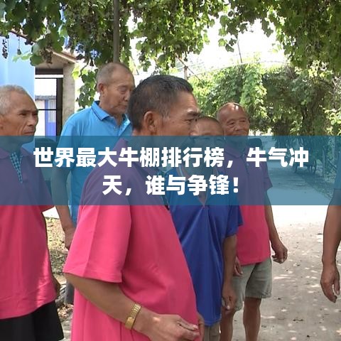世界最大牛棚排行榜，牛氣沖天，誰與爭鋒！