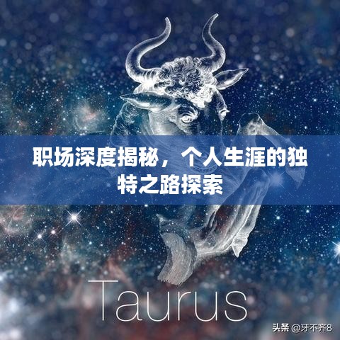 職場深度揭秘，個人生涯的獨特之路探索