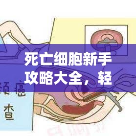 死亡細(xì)胞新手攻略大全，輕松上手游戲秘籍！