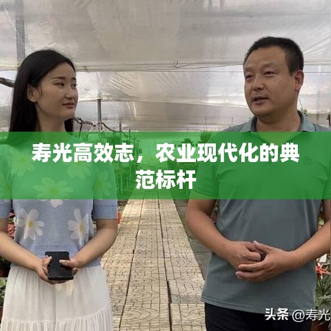 壽光高效志，農(nóng)業(yè)現(xiàn)代化的典范標(biāo)桿