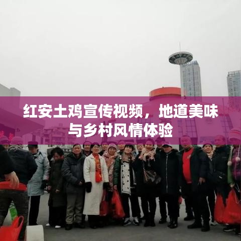 紅安土雞宣傳視頻，地道美味與鄉(xiāng)村風(fēng)情體驗(yàn)