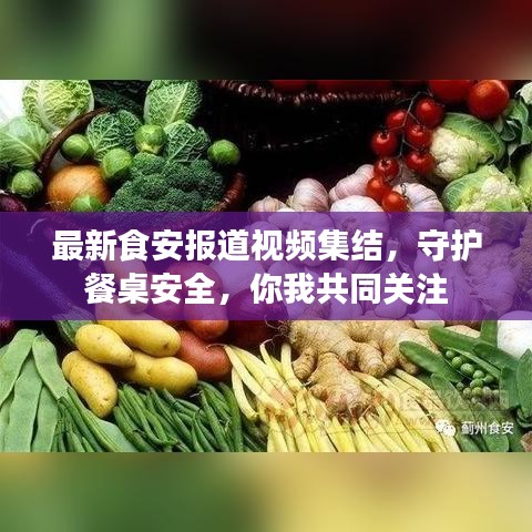 最新食安報(bào)道視頻集結(jié)，守護(hù)餐桌安全，你我共同關(guān)注