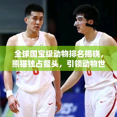 全球國寶級動物排名揭曉，熊貓獨占鰲頭，引領(lǐng)動物世界風(fēng)潮！