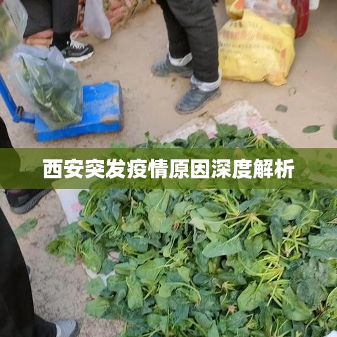 西安突發(fā)疫情原因深度解析