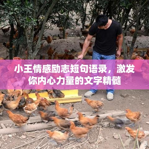 小王情感勵志短句語錄，激發(fā)你內(nèi)心力量的文字精髓