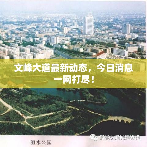 文峰大道最新動態(tài)，今日消息一網(wǎng)打盡！
