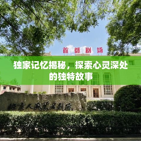 獨家記憶揭秘，探索心靈深處的獨特故事