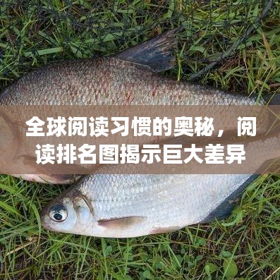 全球閱讀習慣的奧秘，閱讀排名圖揭示巨大差異！
