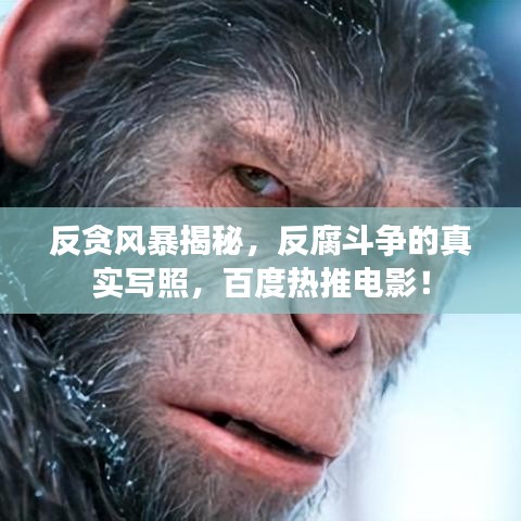 反貪風(fēng)暴揭秘，反腐斗爭的真實寫照，百度熱推電影！