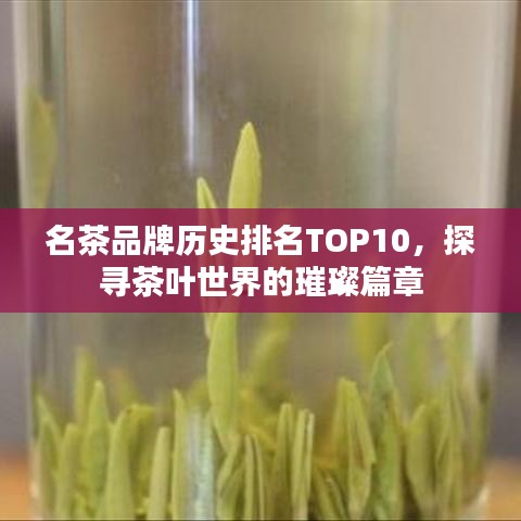 名茶品牌歷史排名TOP10，探尋茶葉世界的璀璨篇章
