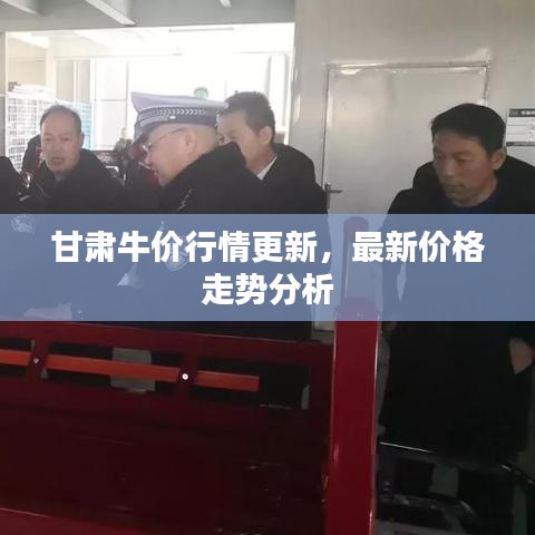 甘肅牛價行情更新，最新價格走勢分析