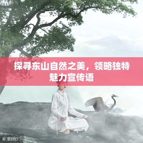 探尋東山自然之美，領(lǐng)略獨(dú)特魅力宣傳語