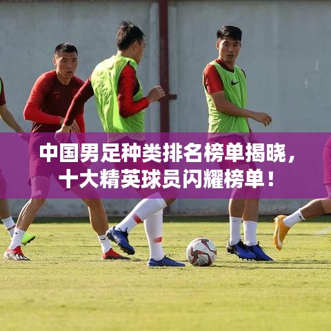 中國男足種類排名榜單揭曉，十大精英球員閃耀榜單！