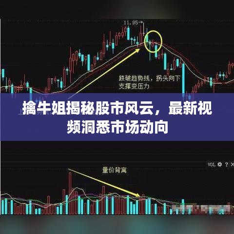 擒牛姐揭秘股市風云，最新視頻洞悉市場動向
