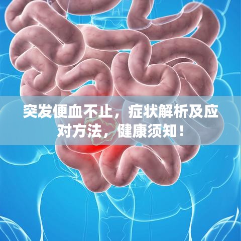 突發(fā)便血不止，癥狀解析及應對方法，健康須知！