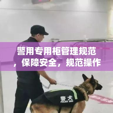 警用專用柜管理規(guī)范，保障安全，規(guī)范操作，提升警務(wù)效率