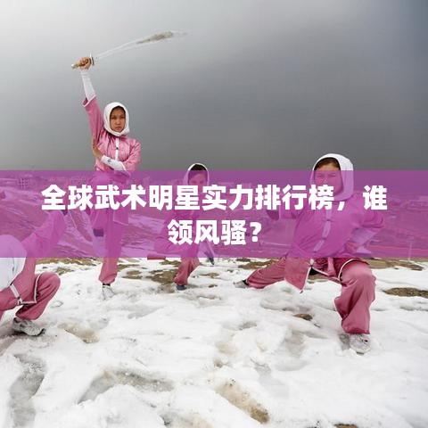 全球武術(shù)明星實力排行榜，誰領風騷？