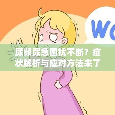 尿頻尿急困擾不斷？癥狀解析與應(yīng)對(duì)方法來(lái)了！