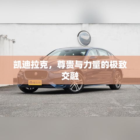 凱迪拉克，尊貴與力量的極致交融