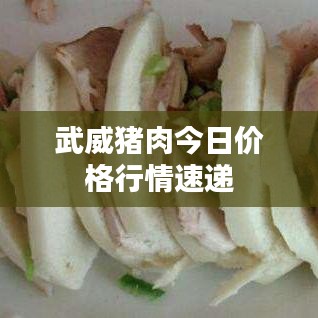 武威豬肉今日價(jià)格行情速遞