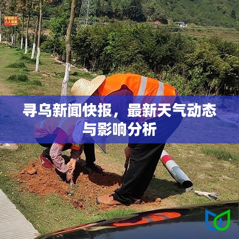 尋烏新聞快報(bào)，最新天氣動(dòng)態(tài)與影響分析