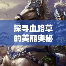 探尋血路草的美麗奧秘，百度圖片帶你領(lǐng)略血路草的風(fēng)采