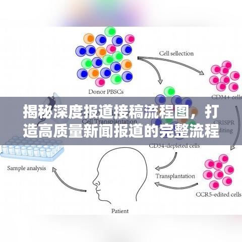 揭秘深度報(bào)道接稿流程圖，打造高質(zhì)量新聞報(bào)道的完整流程揭秘