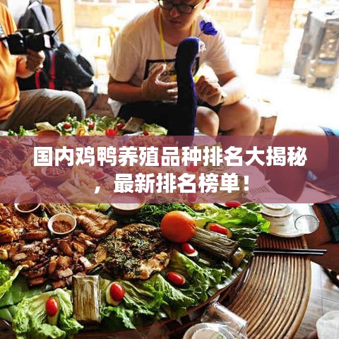 國內(nèi)雞鴨養(yǎng)殖品種排名大揭秘，最新排名榜單！