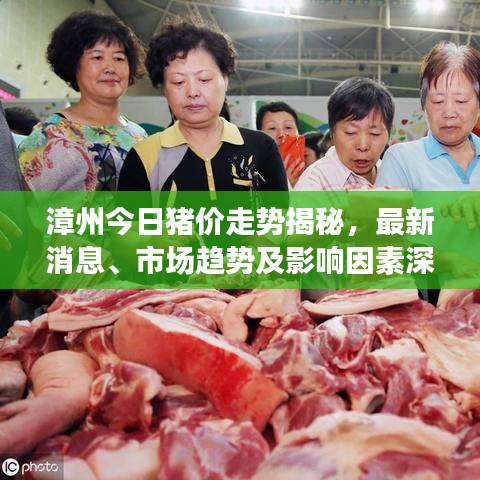 漳州今日豬價走勢揭秘，最新消息、市場趨勢及影響因素深度解析
