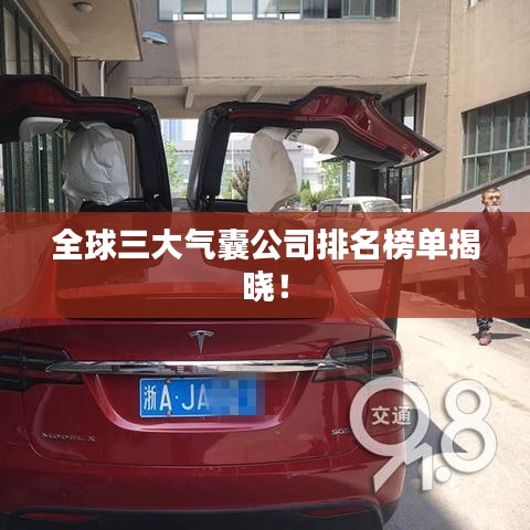 全球三大氣囊公司排名榜單揭曉！