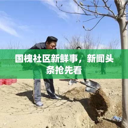國槐社區(qū)新鮮事，新聞頭條搶先看