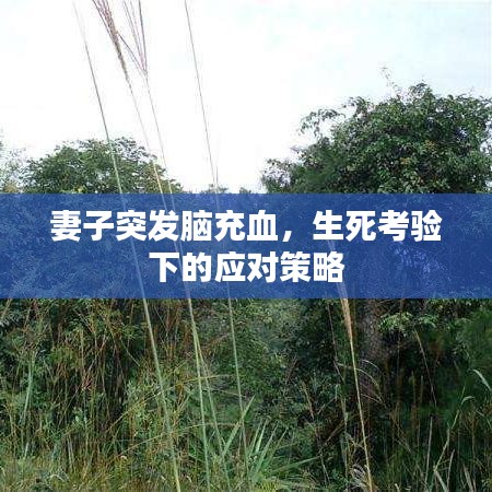 妻子突發(fā)腦充血，生死考驗下的應對策略