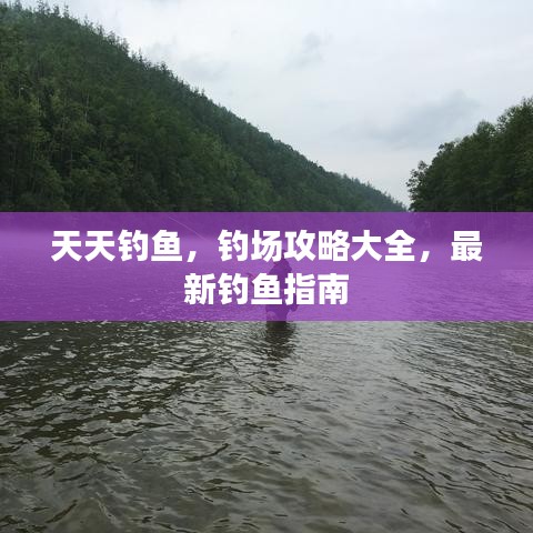 天天釣魚，釣場攻略大全，最新釣魚指南
