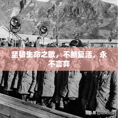 堅(jiān)韌生命之歌，不斷復(fù)活，永不言棄